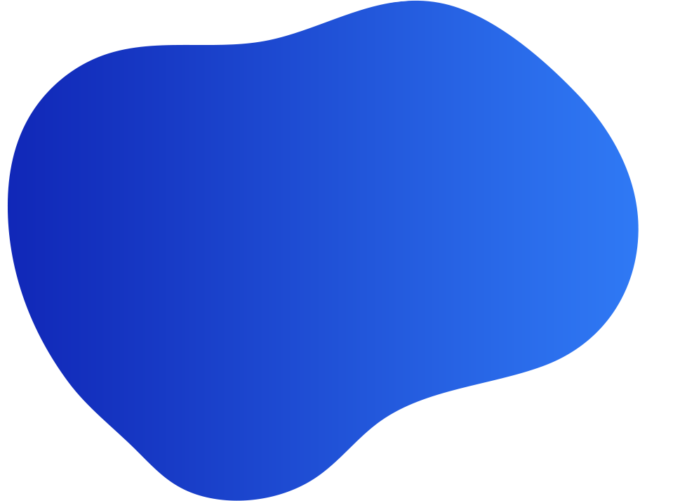 Budget IT website element